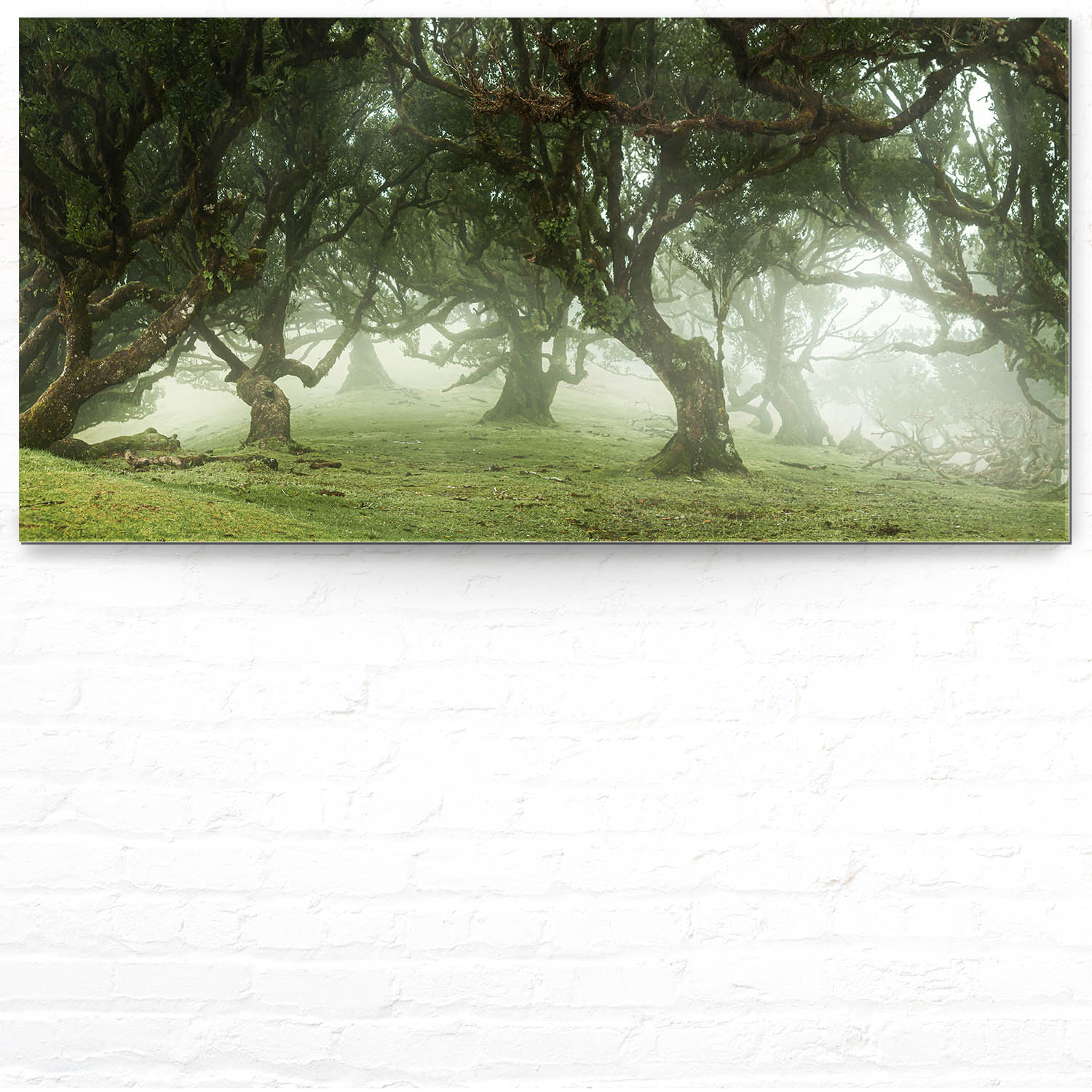 Wald & Bäume Nebel Gestalten als Acrylglasverbund Bild 180x90cm