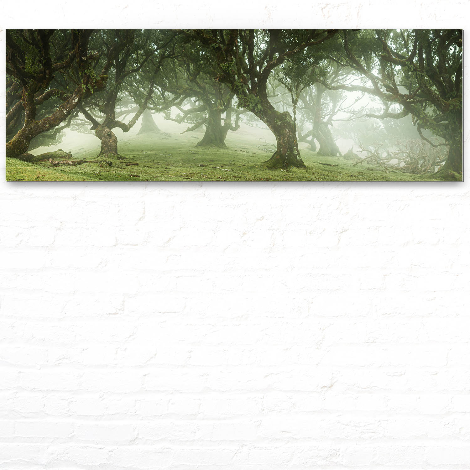 Alu-Dibond Bild 150x50cm groß Wald & Bäume Nebel Gestalten