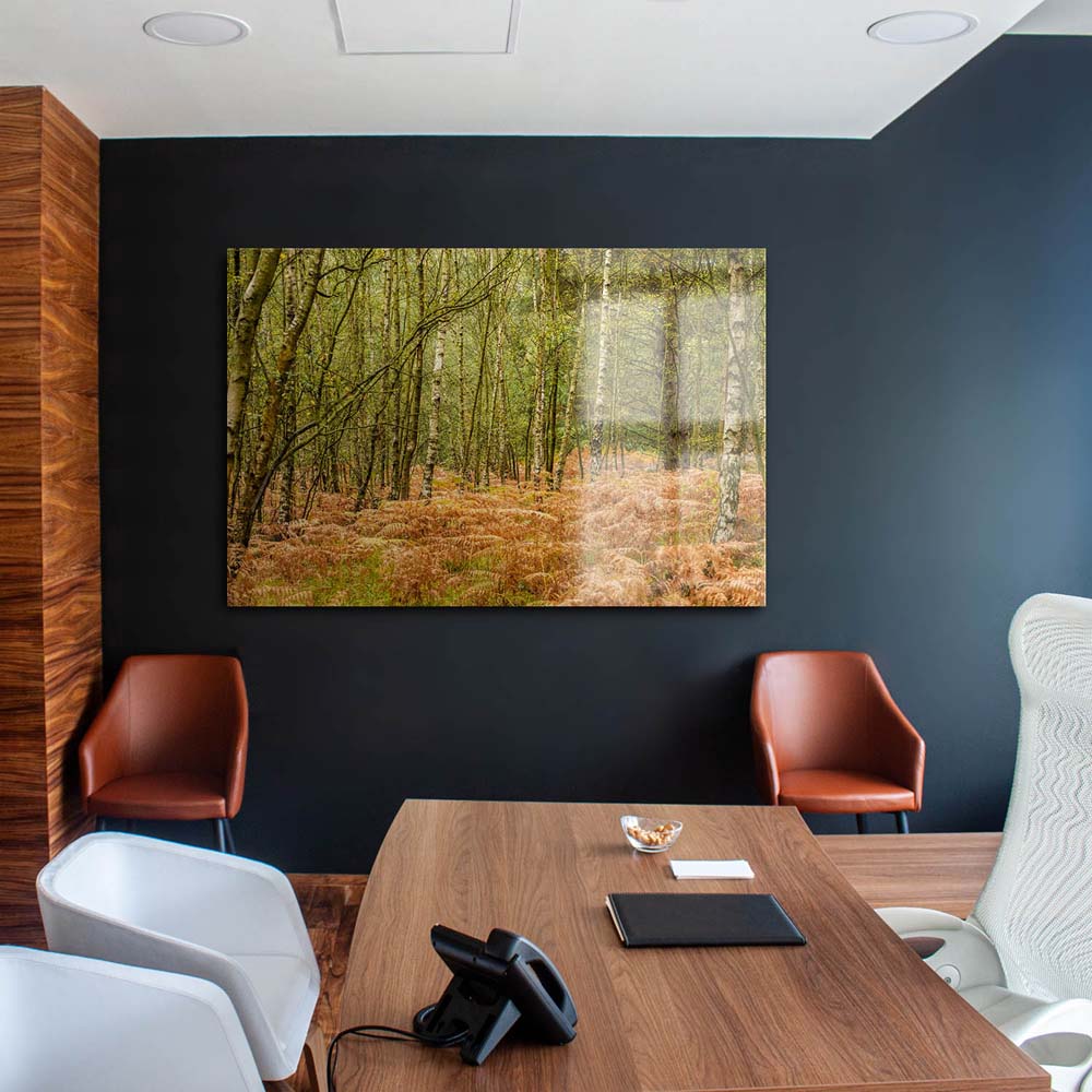Panorama Acrylglasbild 180x90cm Wald & Bäume Farn im Herbst