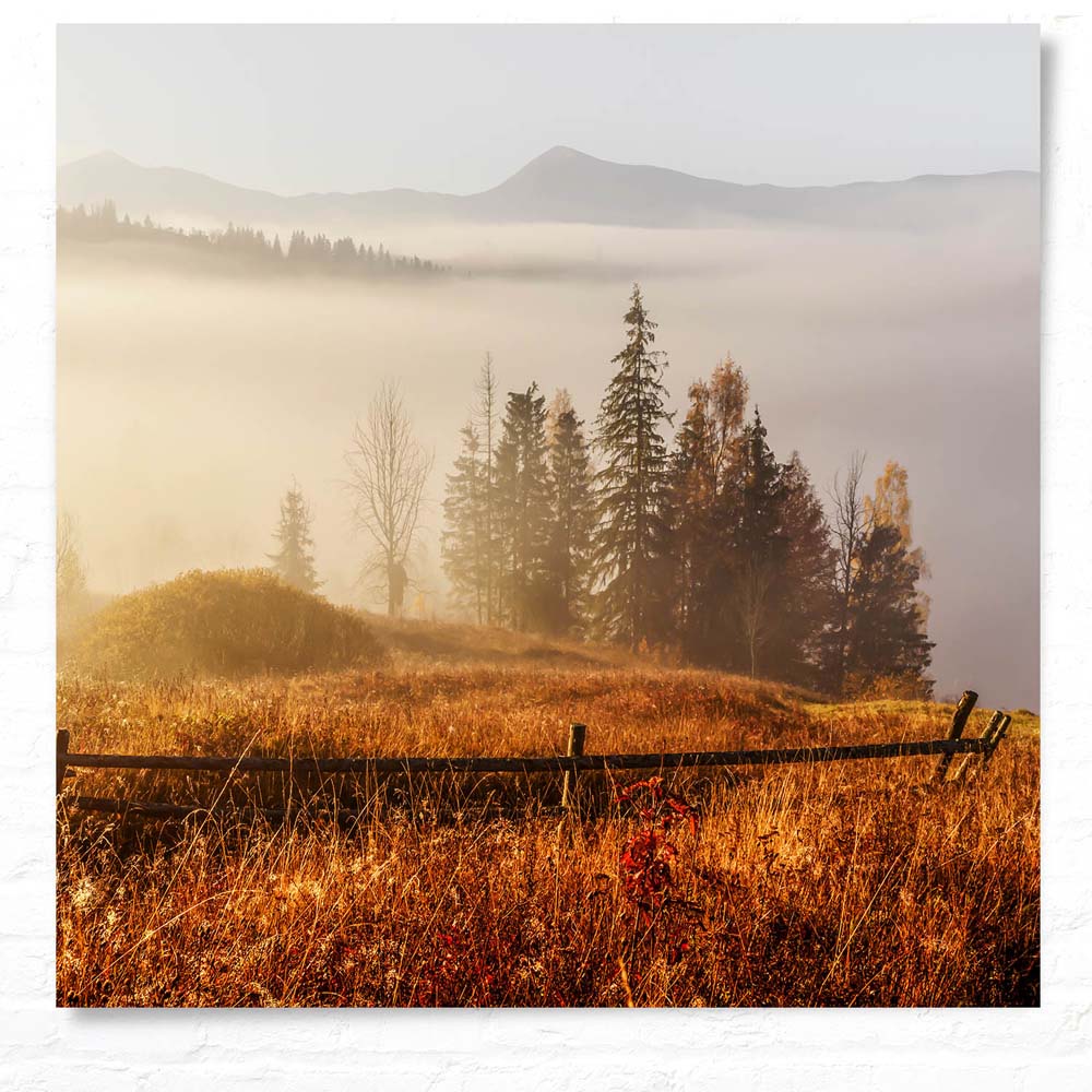 WandPoster Wald & Bäume Herbst in den Karbaten, 50x50cm