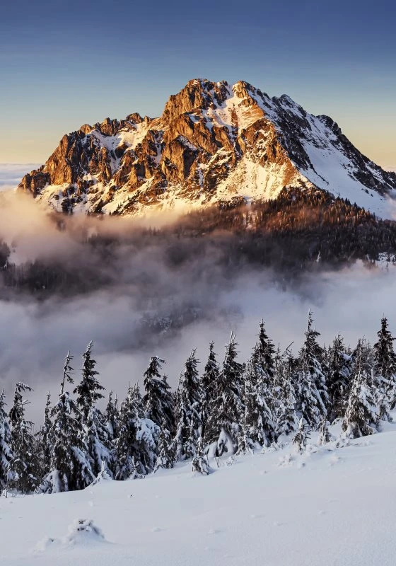 Poster Winter Mala Fatra slowakei Berge & Gebirge, 70x100cm groß
