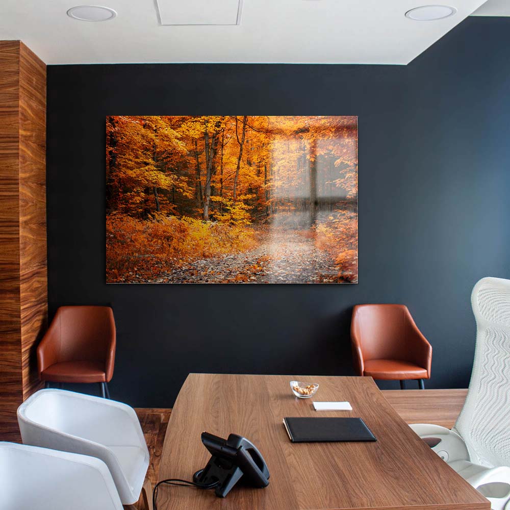 Wald & Bäume Herbst Wanderung II als Acrylglasverbund Bild 180x90cm