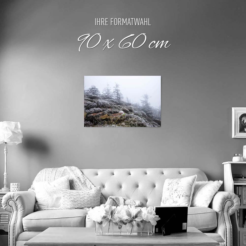 Poster 90x60cm groß, Wald & Bäume Schwarzwald Frost