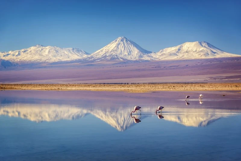 Berge & Gebirge Anden Atacama als Alu-Dibond Bild 120x80cm