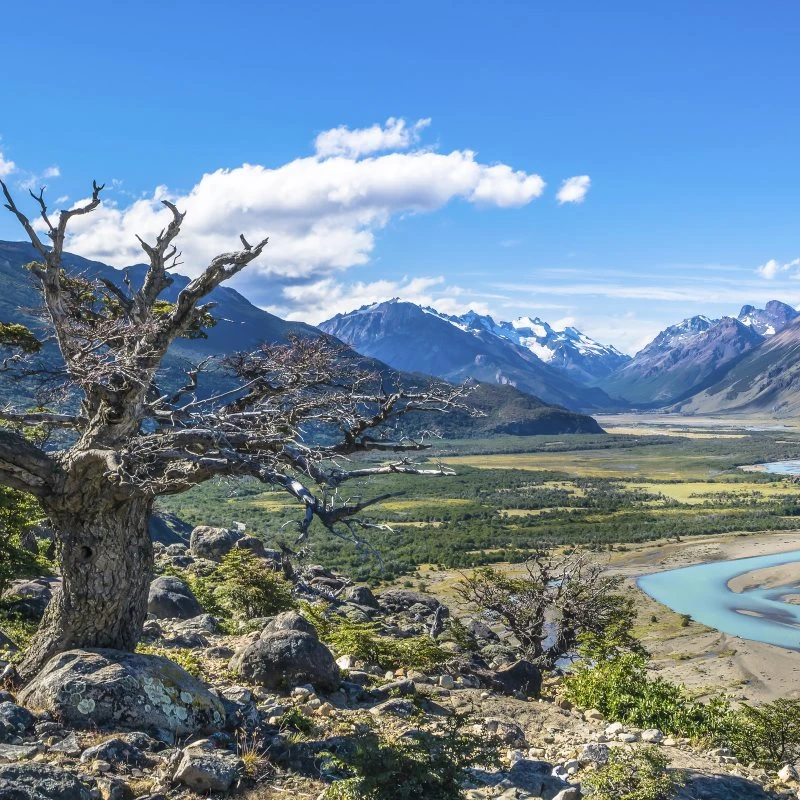 Berge & Gebirge Patagonien Flüsse als Alu-Dibond Bild 80x80cm