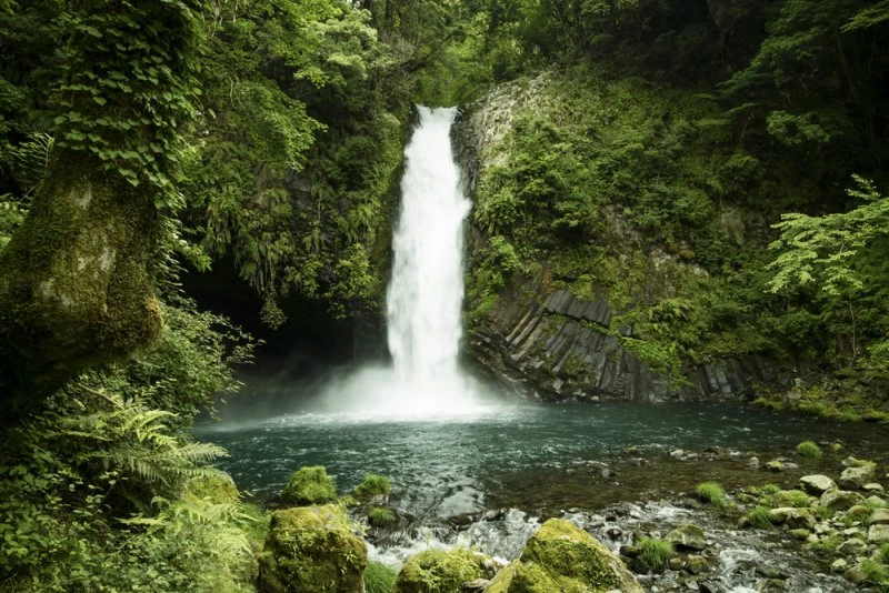 Wasserfall Minami Izu, Japan als Acrylglas Bild 60x40cm