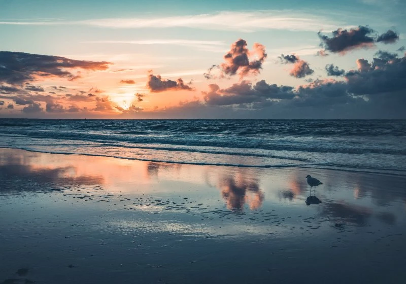 Acrylglasbild Sonnenuntergang Nordsee, Strand & Meer, 100x70cm groß