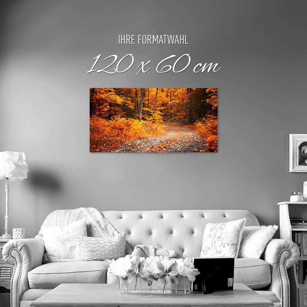 Wald & Bäume Herbst Wanderung II als Alu-Dibond Bild 120x60cm