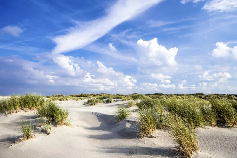 Strand & Meer Dünen Langenoog Nordsee als Alu-Dibond Bild 90x60cm
