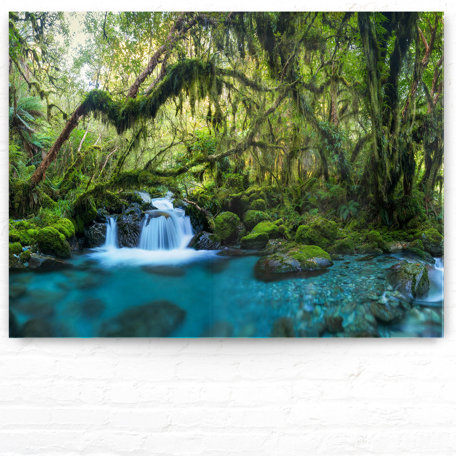 Acrylglasbild idylischer Bachlauf, Dschungel, 100x75cm groß
