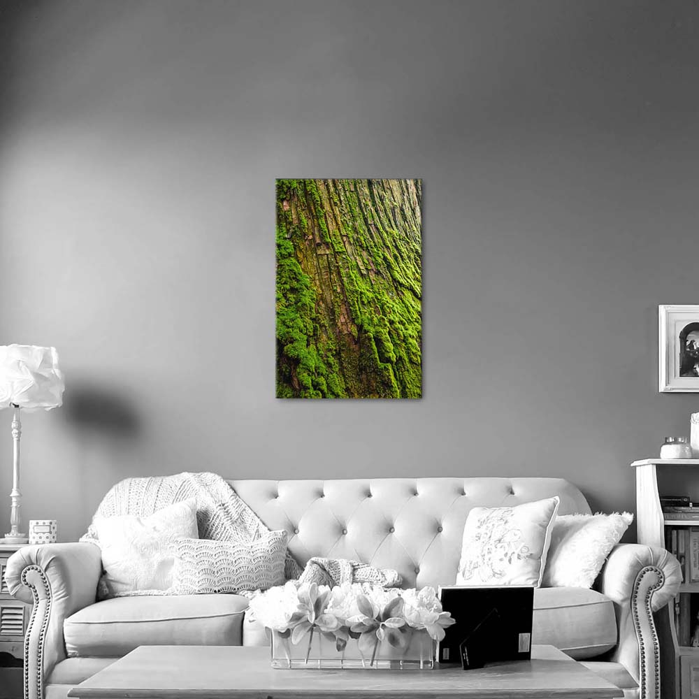 Leinwandbild 60x90cm Hochformat, Wald & Baum Moos