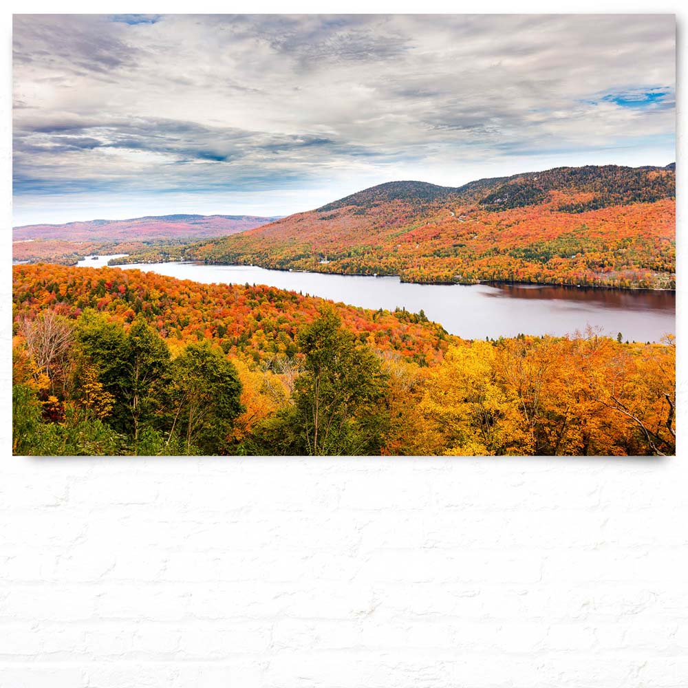 Wald & Bäume Indian Summer, Québec, Kanada als Poster 150x100cm