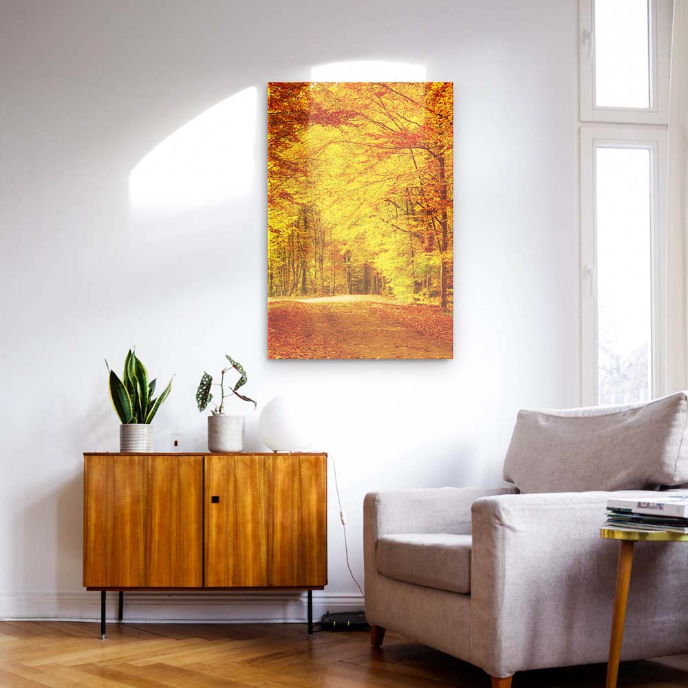 Panorama Acrylglasbild 180x90cm Wald & Bäume Goldener Waldweg