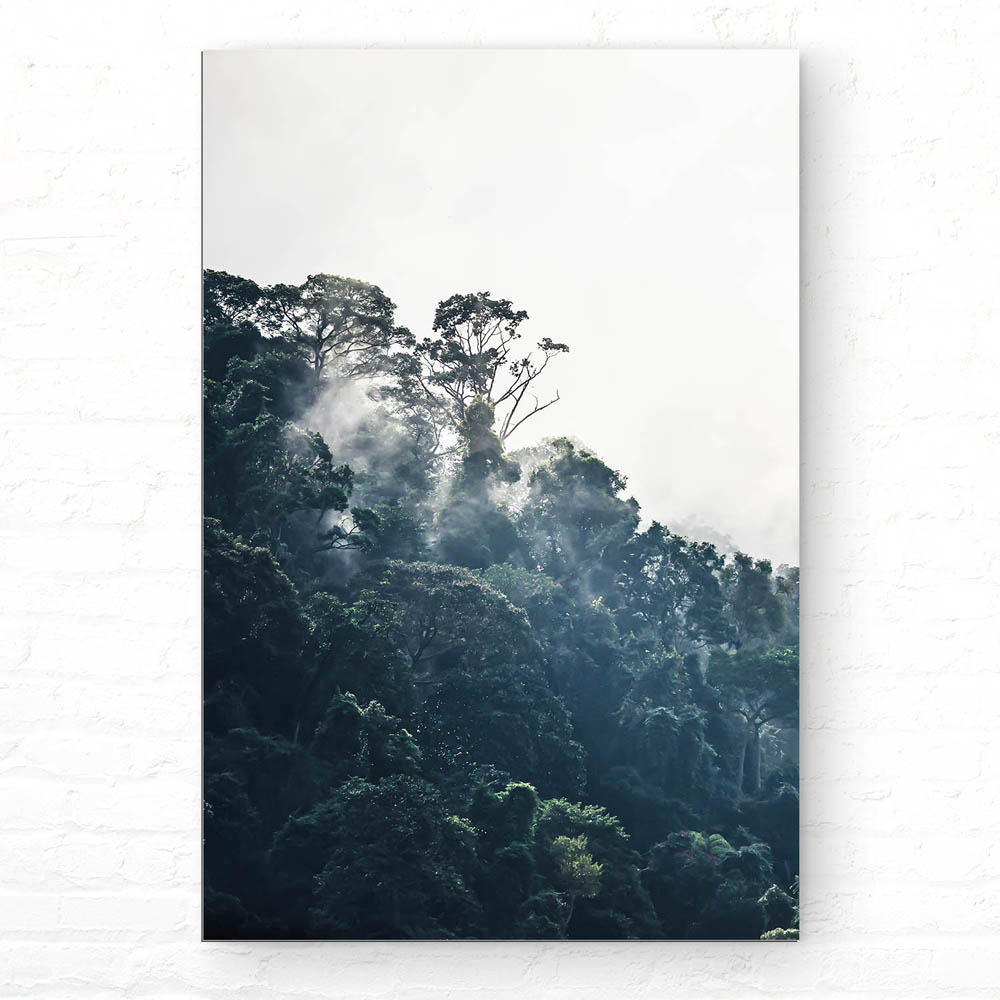 XXL Dschungel Alu-Dibond Bild im Hochformat 100x150cm, Motiv weiter Ausblick