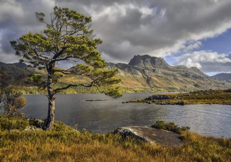 Leinwandbild Berge & Gebirge Slioch Schottland Loch Maree 100x70cm