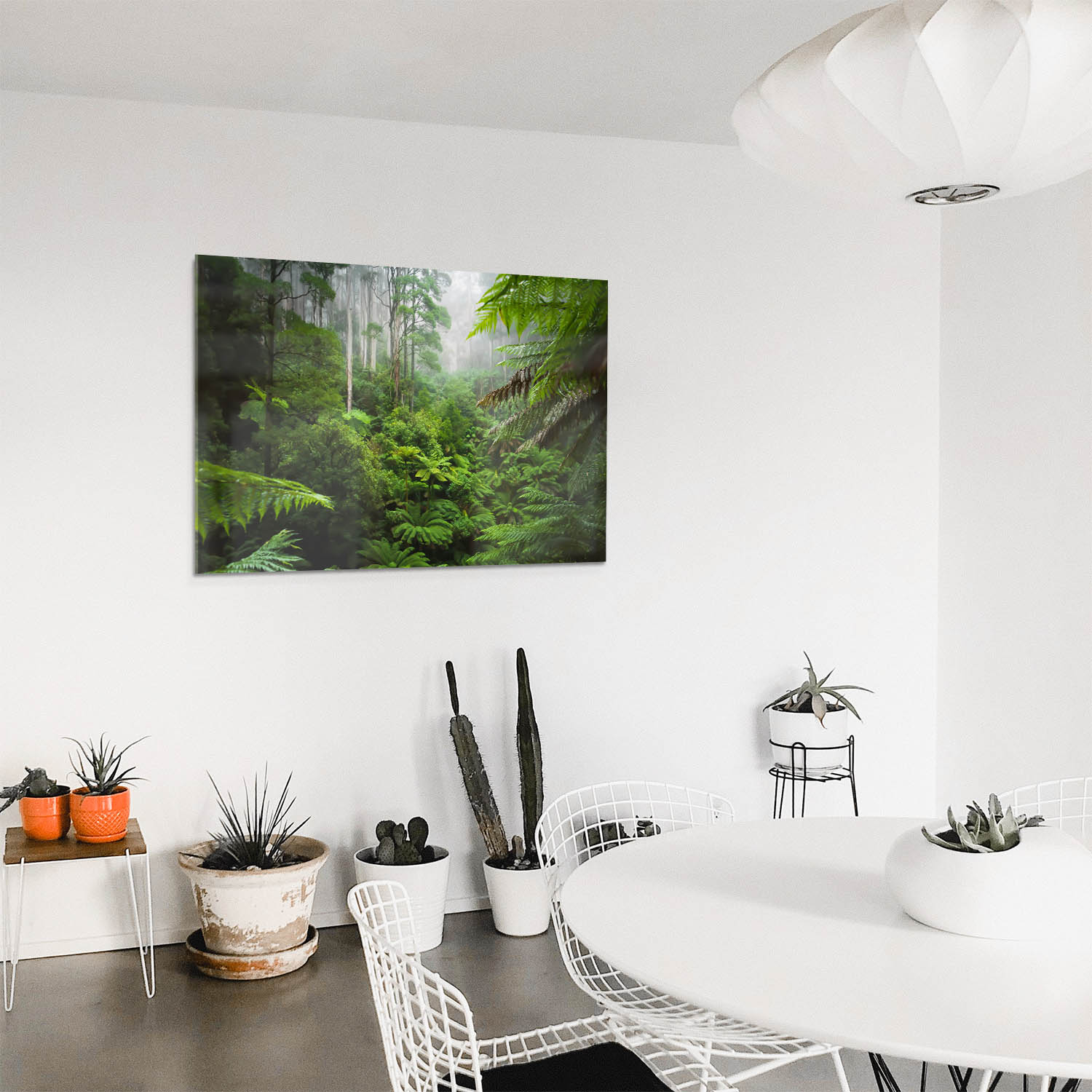 Panorama Acrylglasbild 180x90cm Regenwald Dschungeltraum