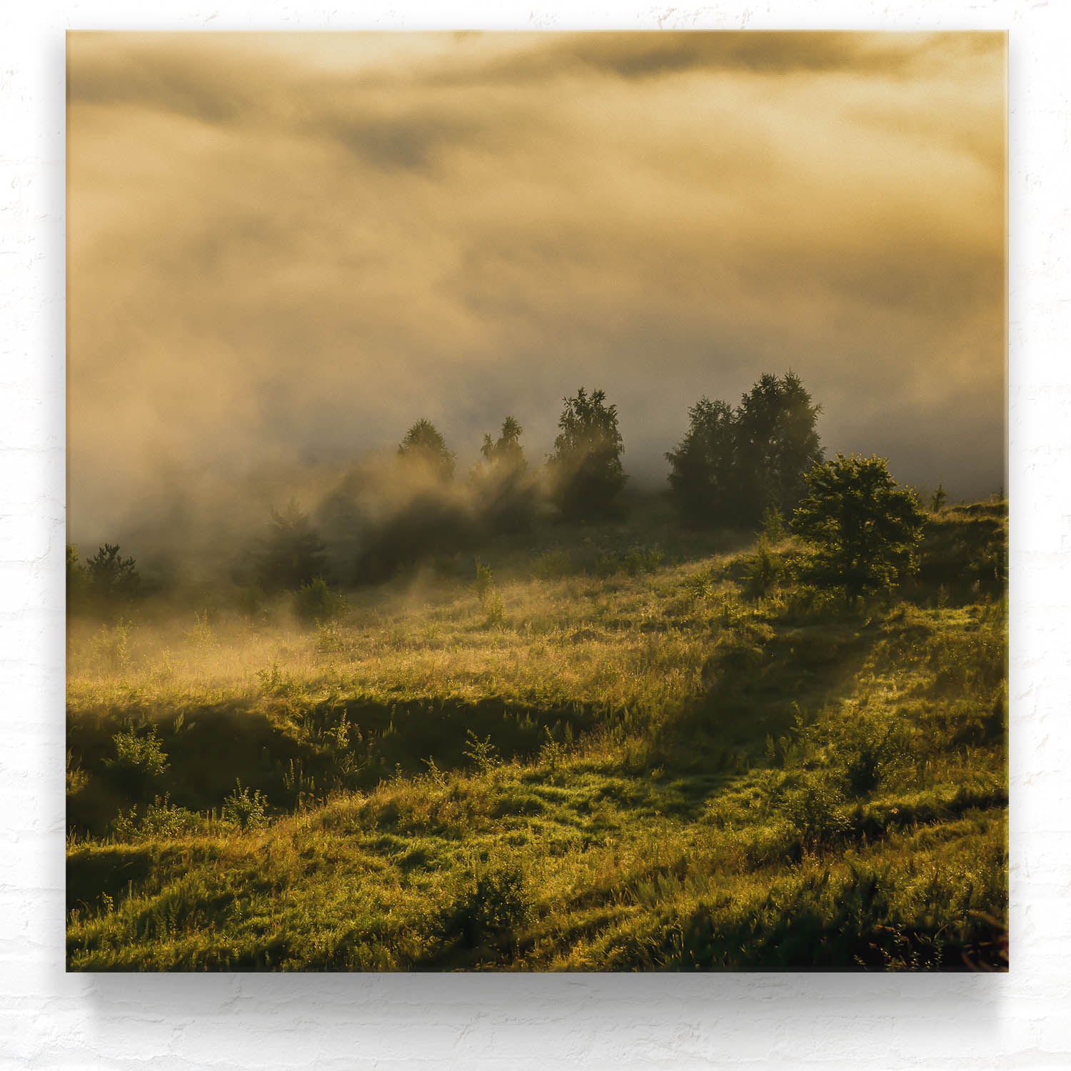 Wald Wiese Nebel am Morgen als Leinwand Bild 80x80cm