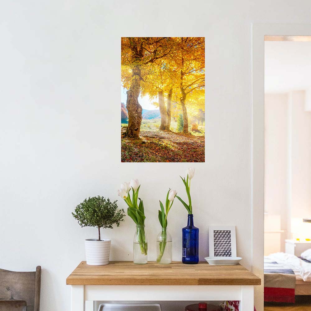 Wald & Bäume Herbst Sonne Poster XXL 100x150cm im Hochformat