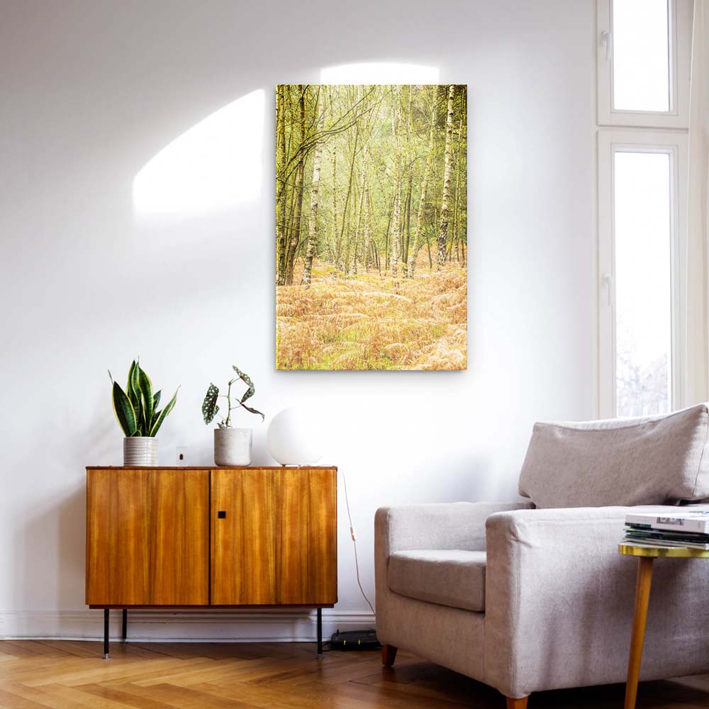 Panorama Acrylglasbild 180x90cm Wald & Bäume Farn im Herbst