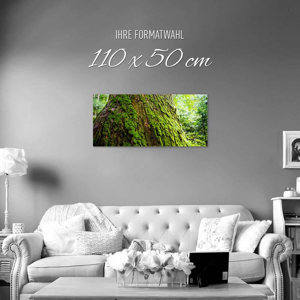 Wandbild auf Alu-Dibond, Wald & Baum Moos, 110x50cm groß