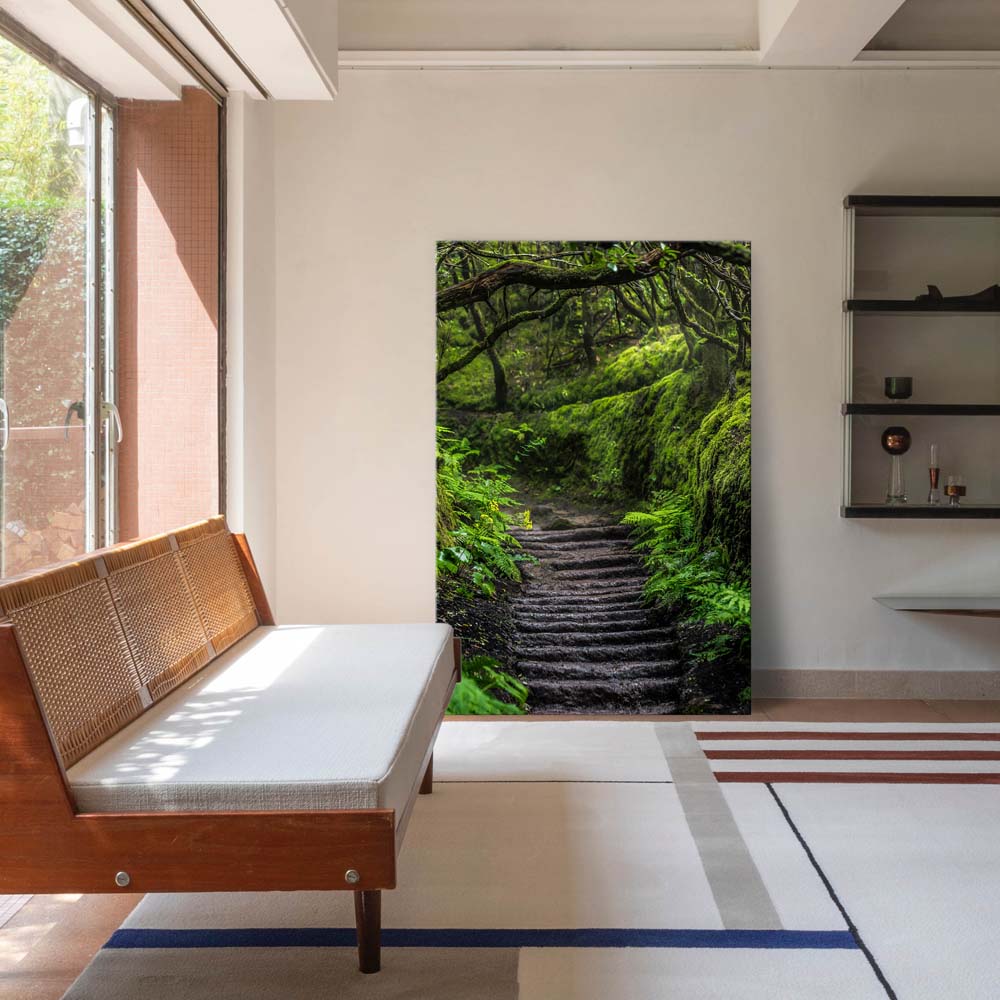 Leinwandbild Hochformat XXL 100x150cm, Teneriffa Anaga Regenwald
