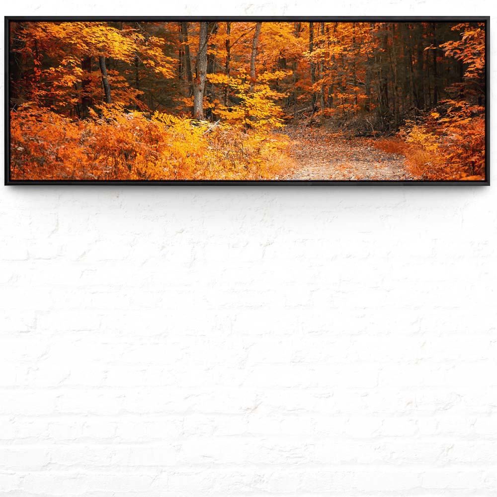 Wald & Bäume Herbst Wanderung II im schwarzen Bilderrahmen, 150x50cm