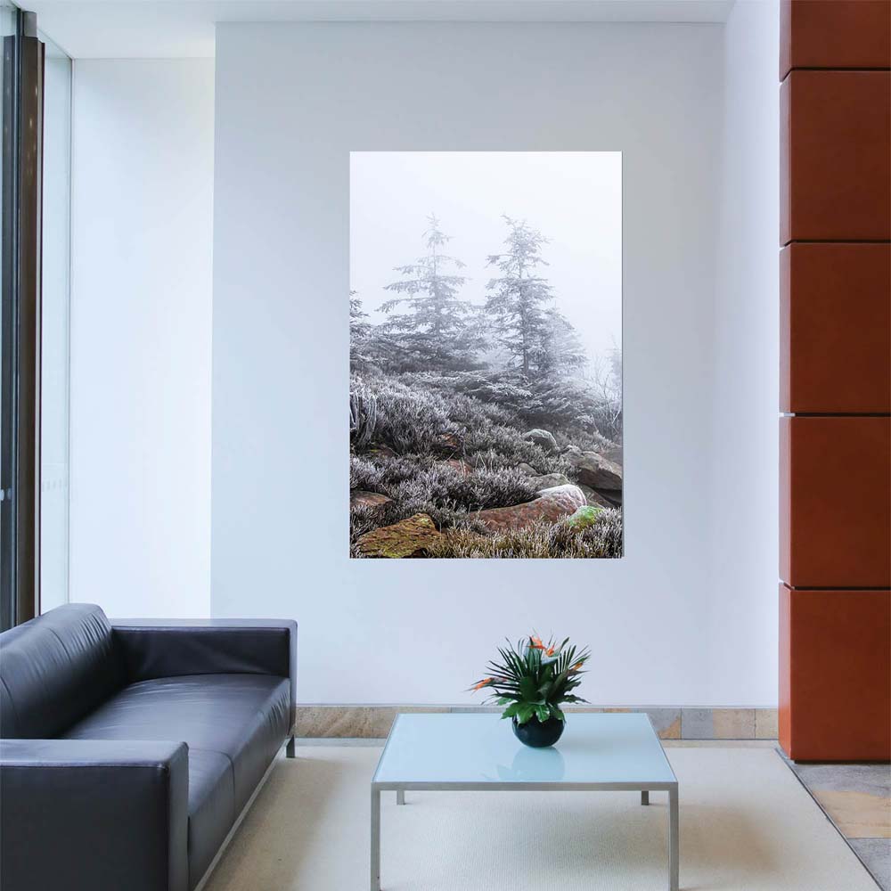 Wald & Bäume Schwarzwald Frost Poster XXL 100x150cm im Hochformat