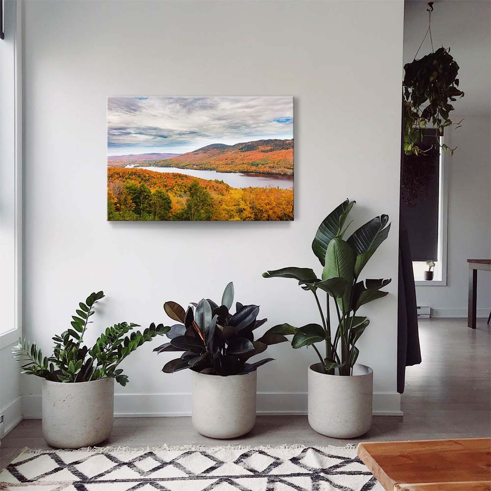 Wald & Bäume Indian Summer, Québec, Kanada als Keilrahmenbild 180x90cm