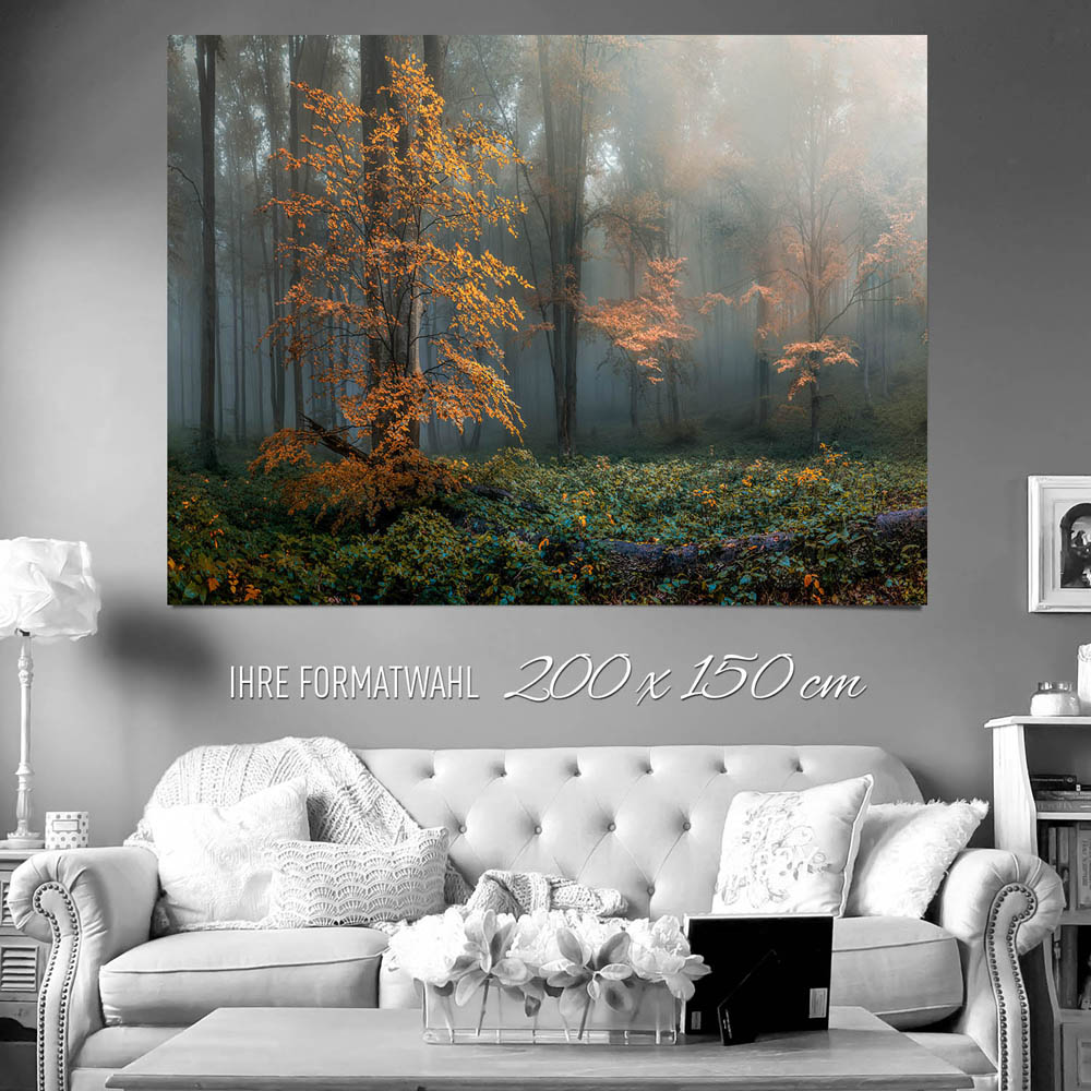 XXL Poster 200x150cm Wald Herbstidylle