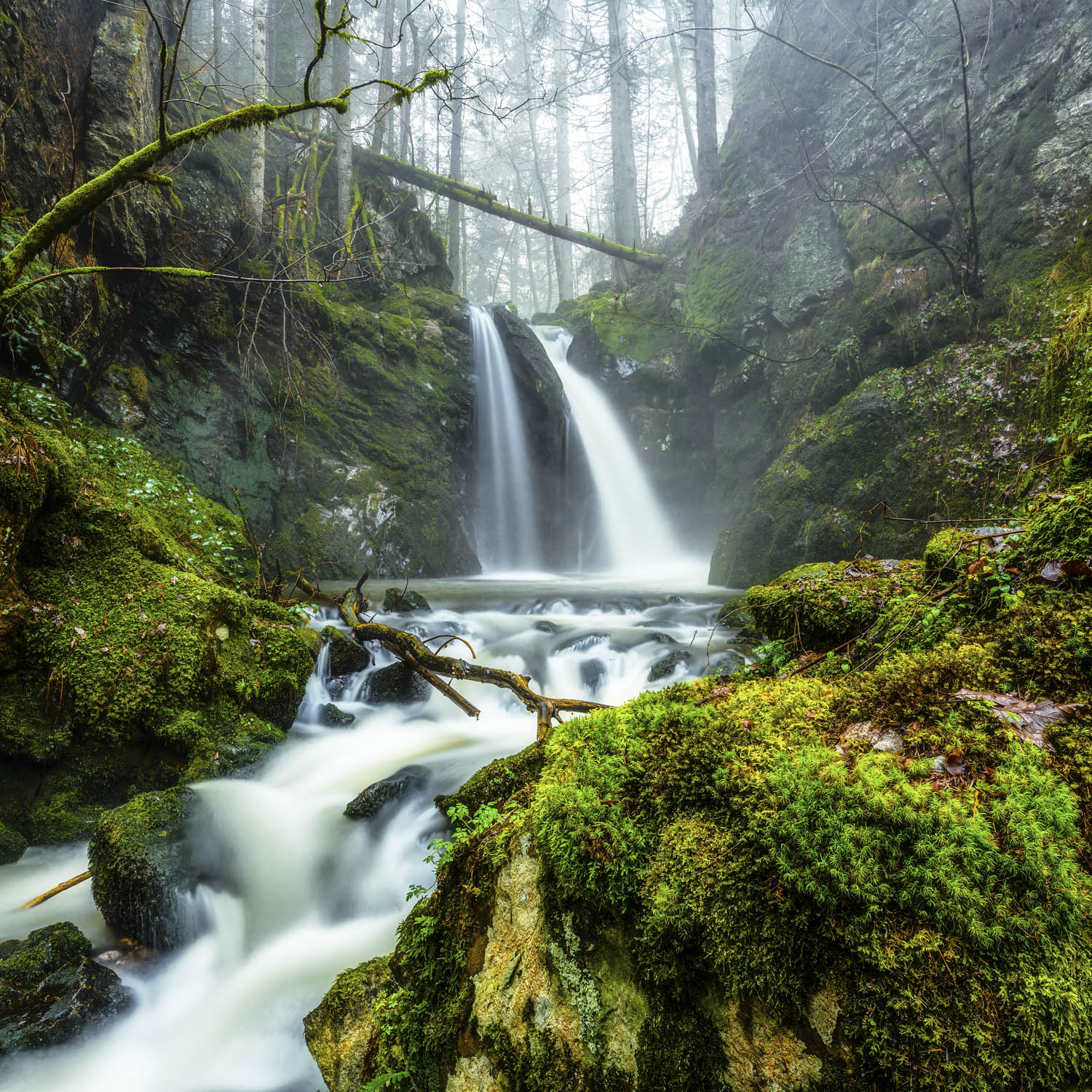 Poster 50x50cm Wasserfall im Schwarzwald Wald & Bäume