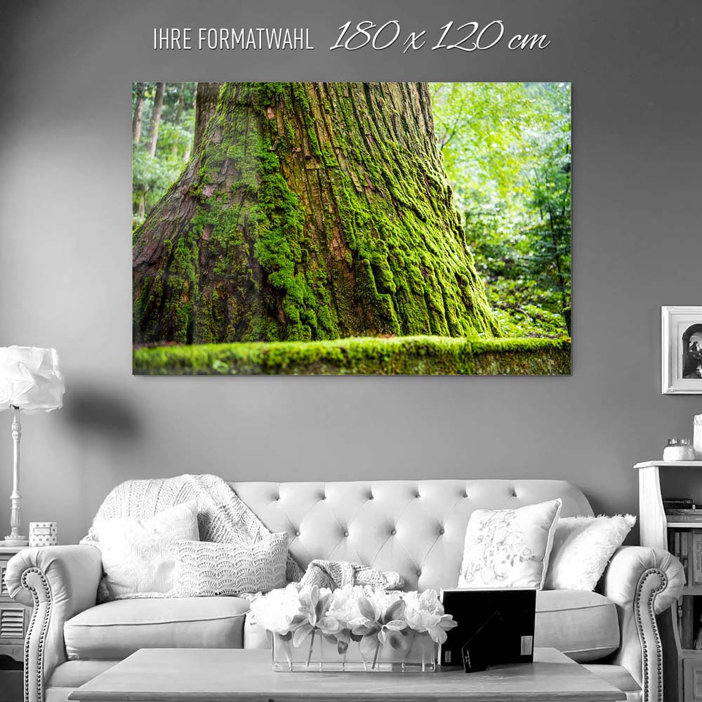 Wald & Baum Moos als Acrylglasverbund Bild 180x120cm