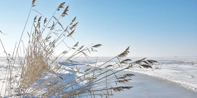 Strand & Meer Winterhafer Ostsee als Acrylglas Bild 120x60cm