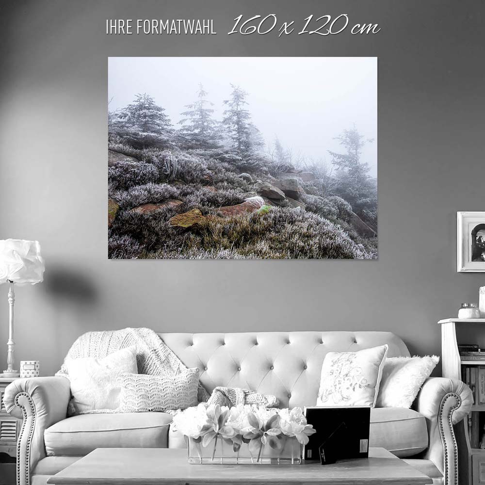 Wald & Bäume Schwarzwald Frost als Poster 160x120cm