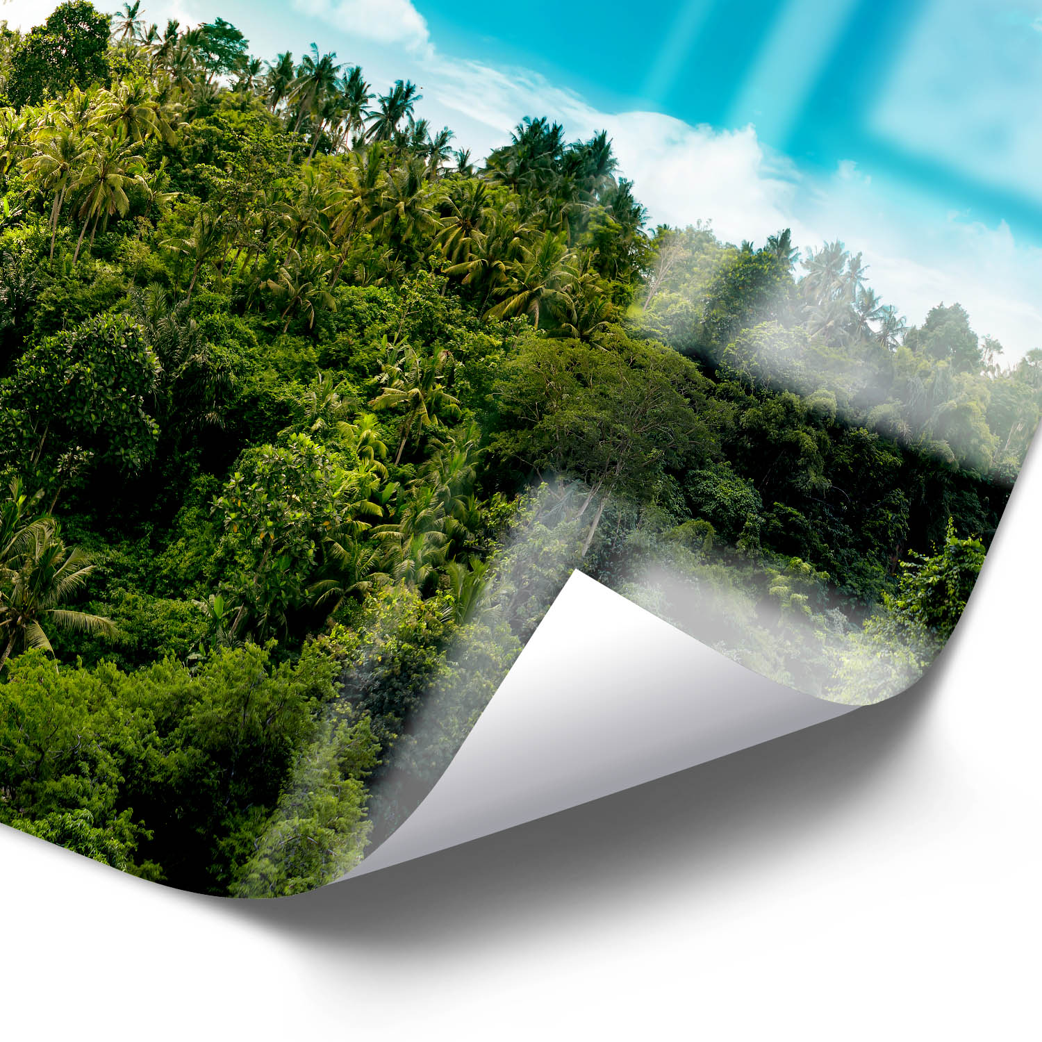 WandPoster Dschungel Wasserfallpanorama, 50x50cm