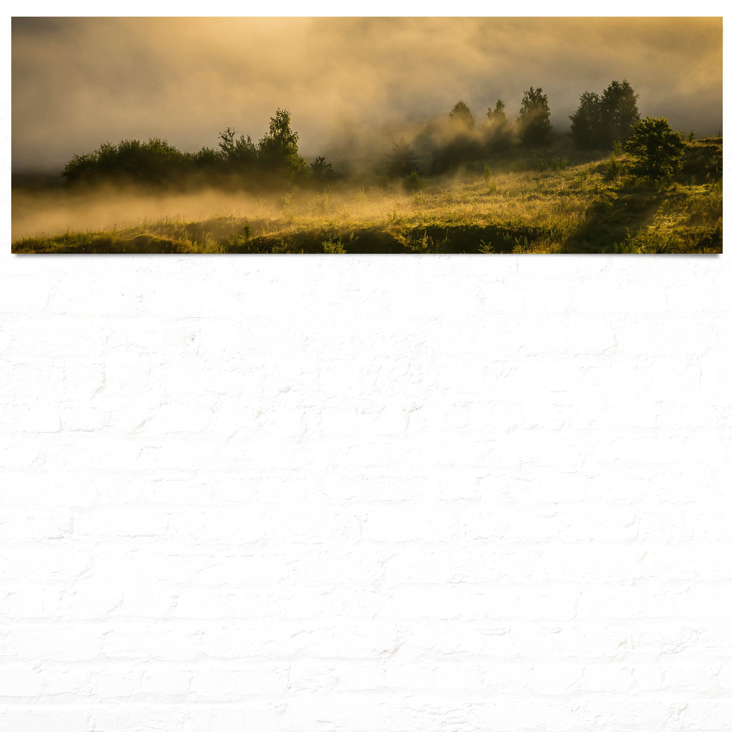 Panorama Poster 150x50cm, Wald Wiese Nebel am Morgen