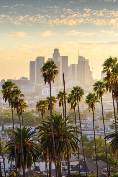 Skyline Los Angeles Palmen im Hochformat 100x150cm mit schwarzen Bilderrahmen