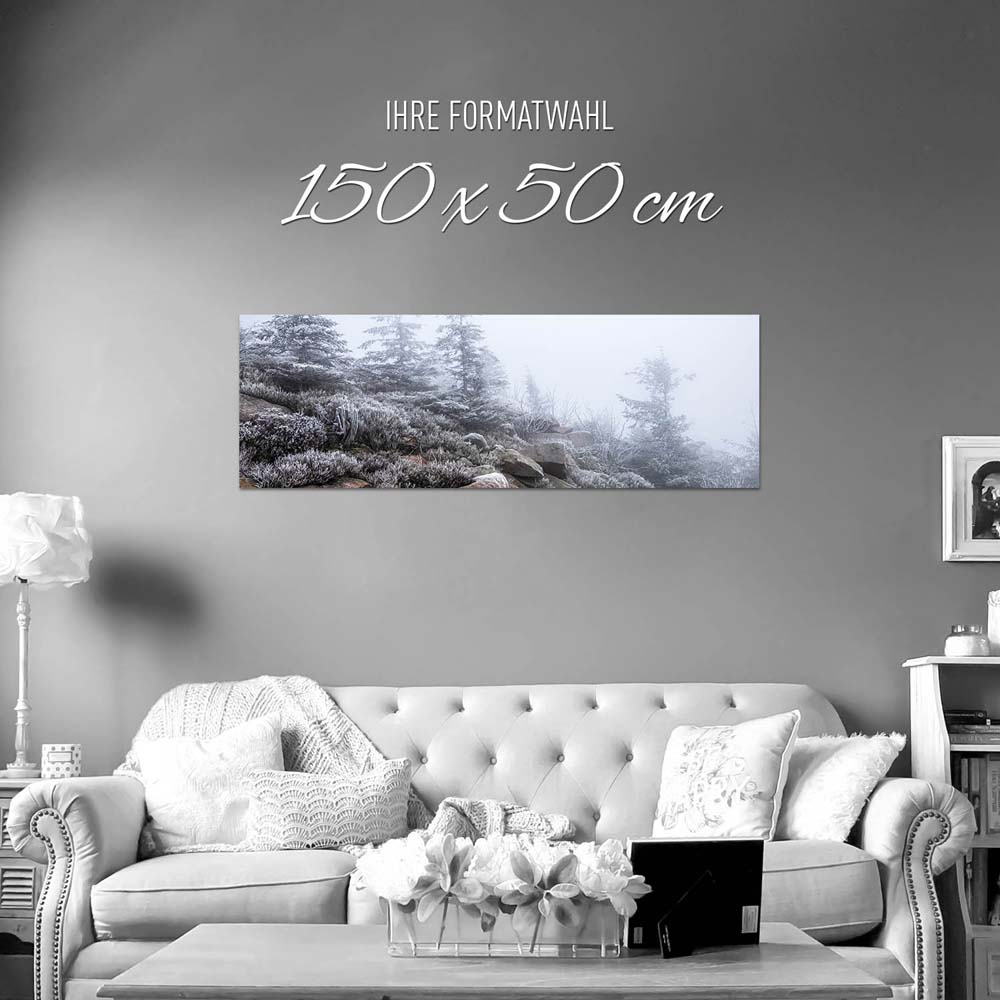 Panorama Poster 150x50cm, Wald & Bäume Schwarzwald Frost