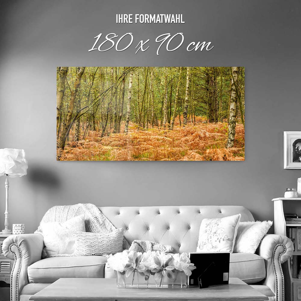 Panorama Acrylglasbild 180x90cm Wald & Bäume Farn im Herbst
