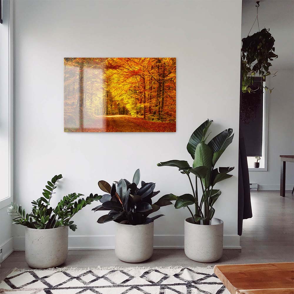 Panorama Acrylglasbild 180x90cm Wald & Bäume Goldener Waldweg