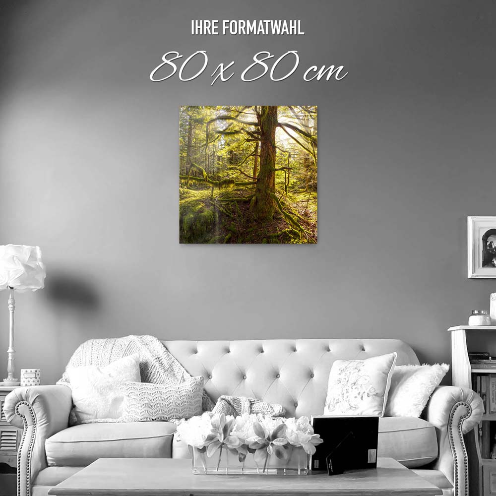 Wald Baum Sonnenhain als Acrylglas Bild 80x80cm