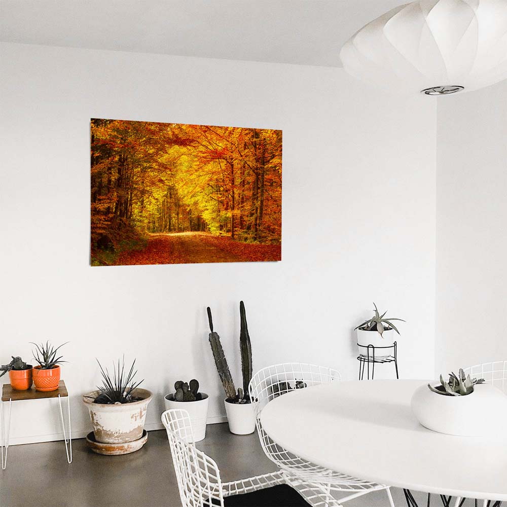 Poster 50x50cm Goldener Waldweg Wald & Bäume