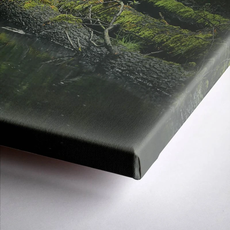 Leinwandbild Wasserwald, Flüsse & Seen 90x60cm