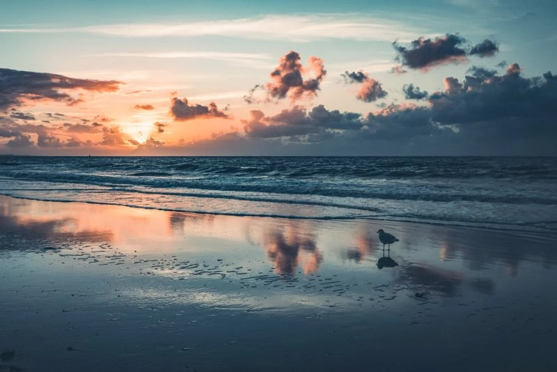 Leinwandbild Sonnenuntergang Nordsee, Strand & Meer 60x40cm