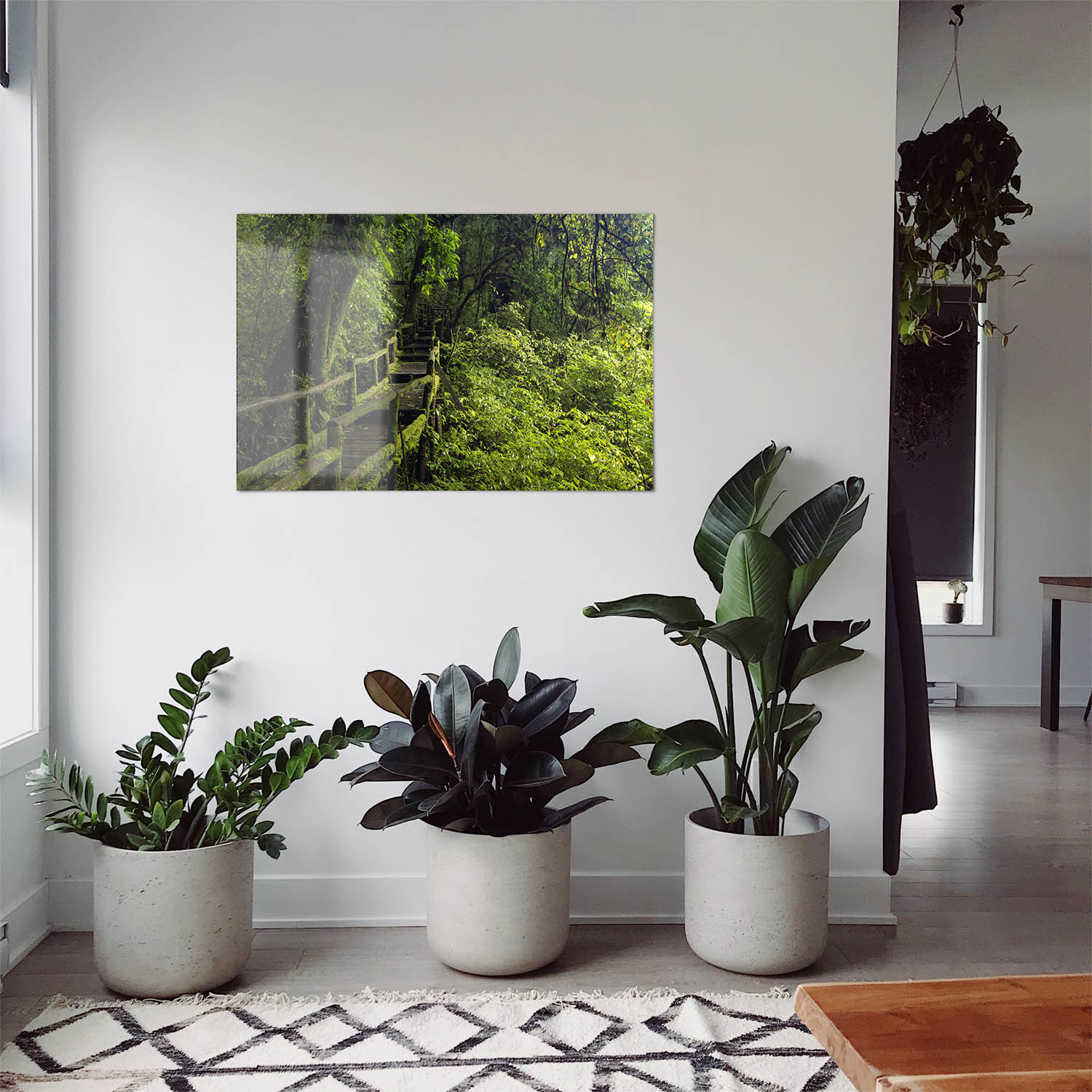 WandPoster Wald & Bäume Wanderung, 50x50cm