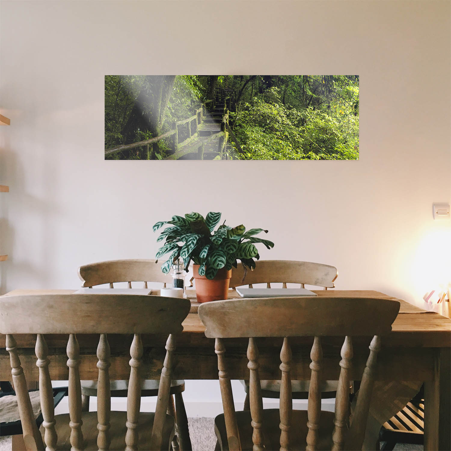 WandPoster Wald & Bäume Wanderung, 50x50cm
