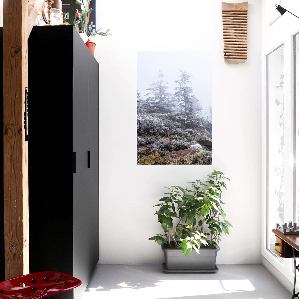 Wald & Bäume Schwarzwald Frost Poster XXL 100x150cm im Hochformat