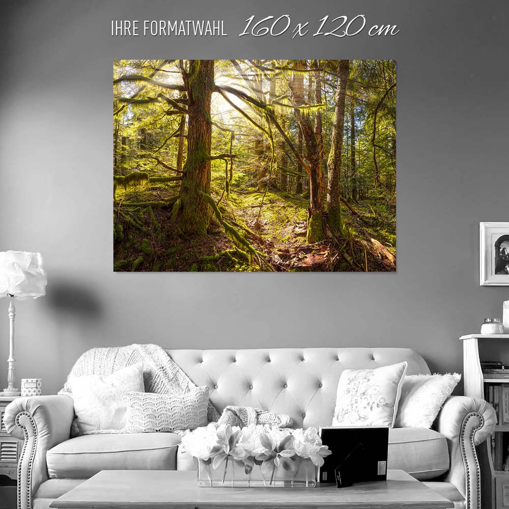 Wald Baum Sonnenhain als Poster 160x120cm