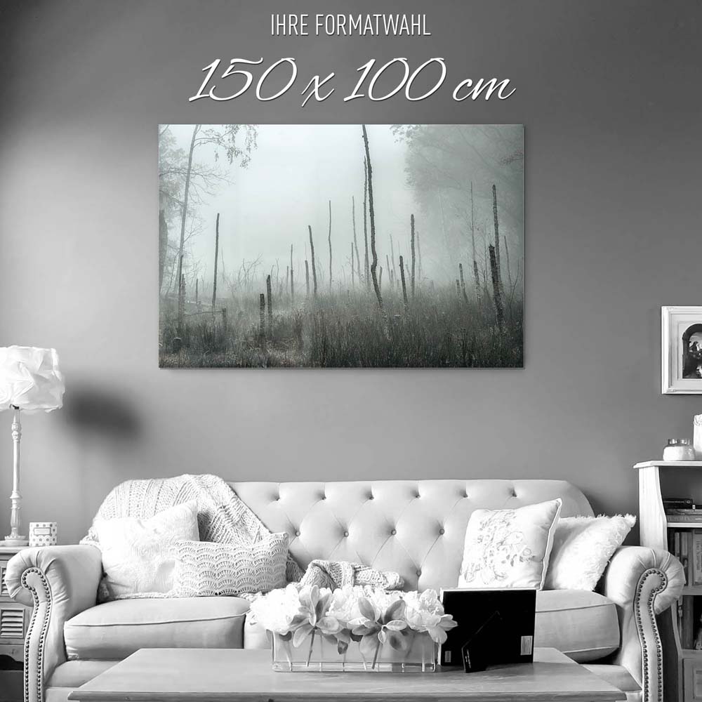Wald Bäume Sumpfgebiet als Acrylglasverbund Bild 150x100cm