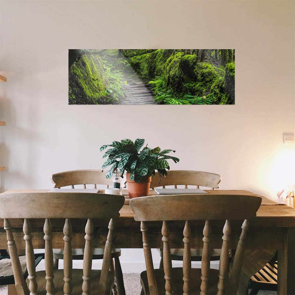 WandPoster Teneriffa Anaga Regenwald, 50x50cm