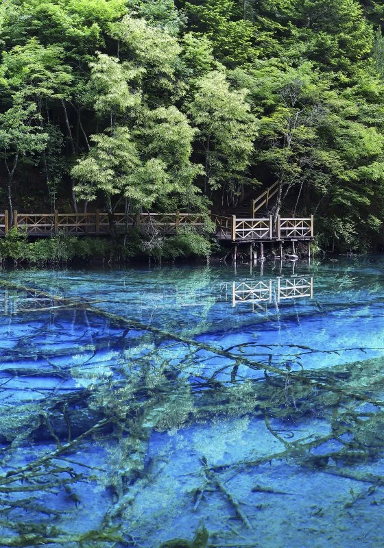 Poster China Jiuzhaigou  Flüsse & Seen, 70x100cm groß
